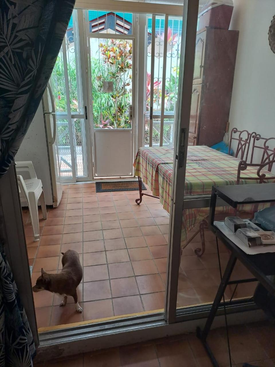 Appartement T2 Meuble Tout Confort Le Gosier  Exterior photo